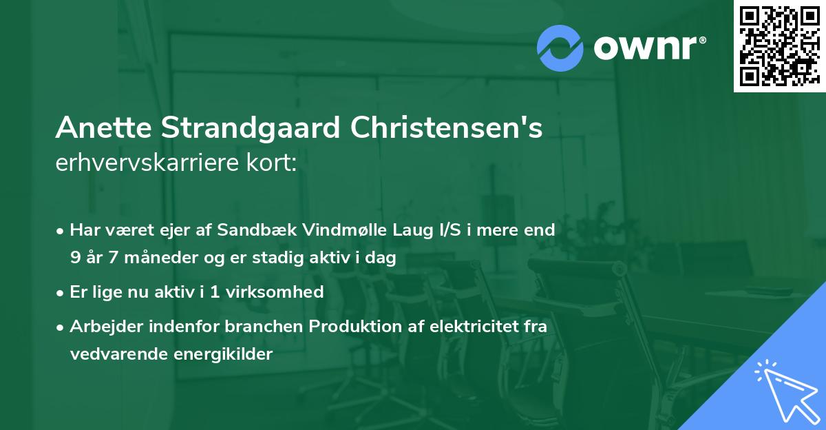 Anette Strandgaard Christensen's erhvervskarriere kort