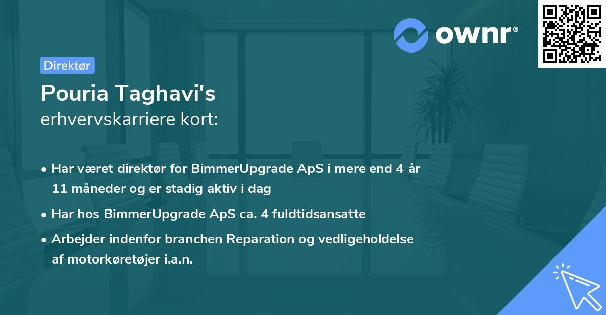 Pouria Taghavi's erhvervskarriere kort