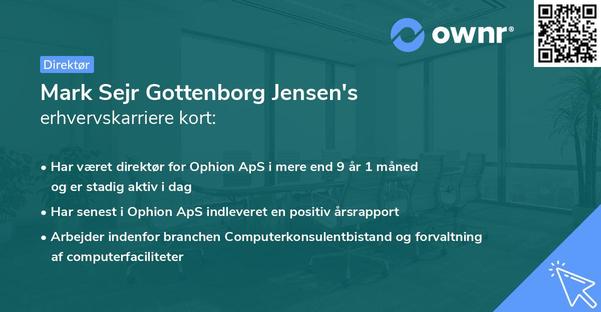 Mark Sejr Gottenborg Jensen's erhvervskarriere kort