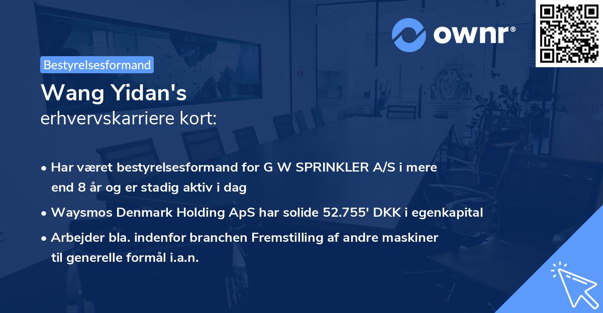 Wang Yidan's erhvervskarriere kort