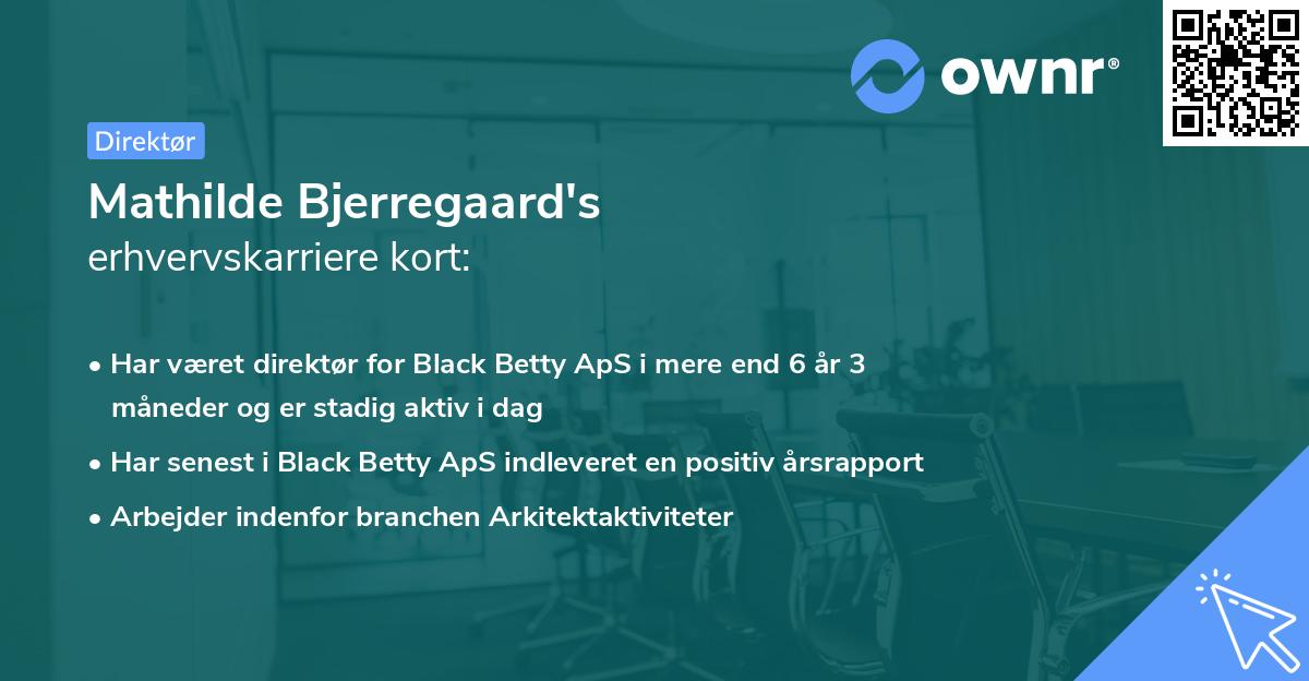 Mathilde Bjerregaard's erhvervskarriere kort