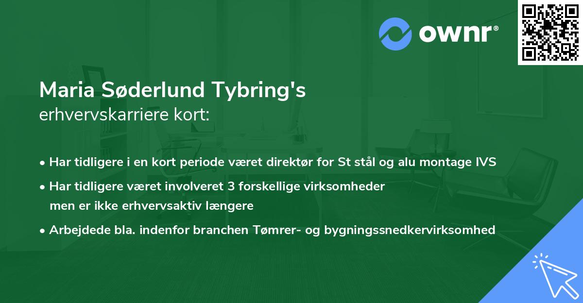 Maria Søderlund Tybring's erhvervskarriere kort