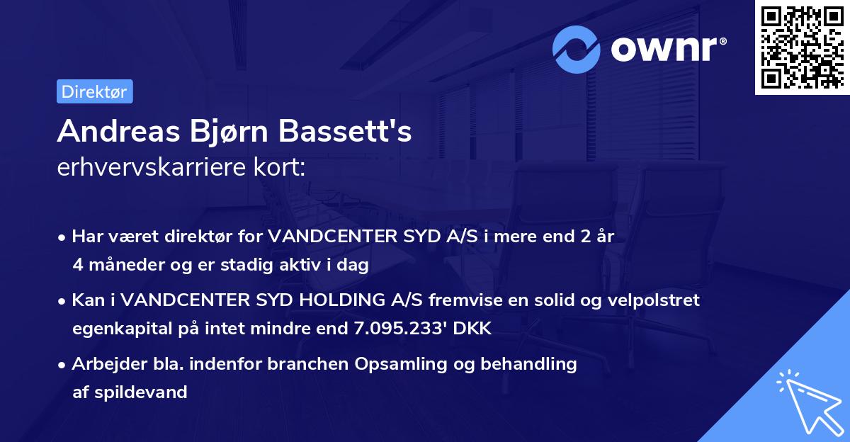 Andreas Bjørn Bassett's erhvervskarriere kort