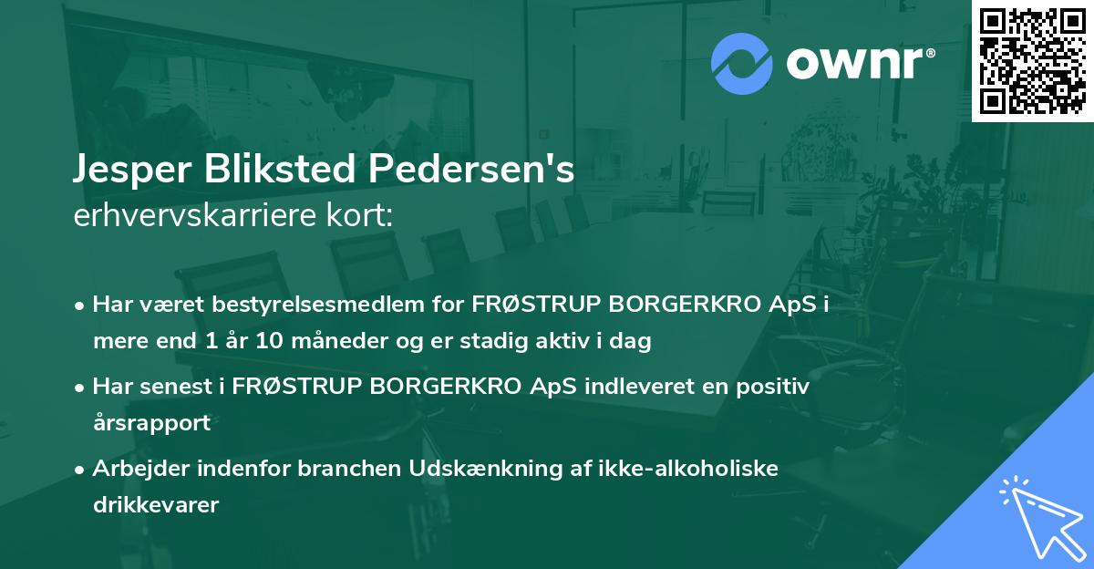 Jesper Bliksted Pedersen's erhvervskarriere kort
