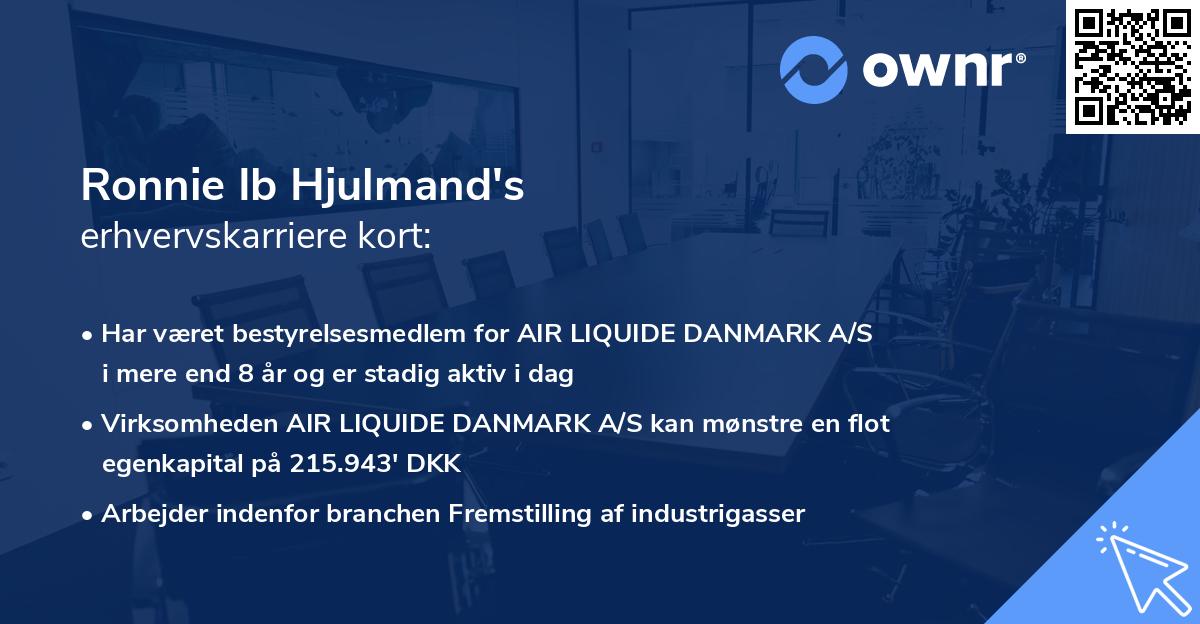Ronnie Ib Hjulmand's erhvervskarriere kort