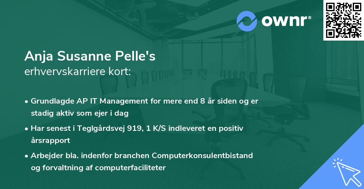 Anja Susanne Pelle's erhvervskarriere kort