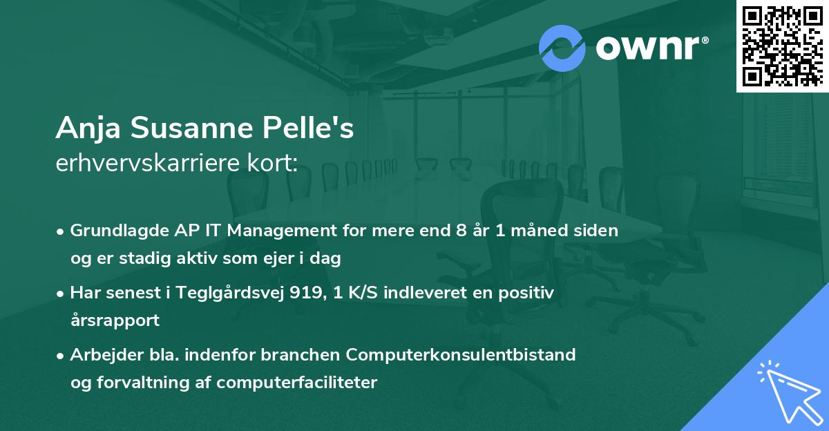 Anja Susanne Pelle's erhvervskarriere kort