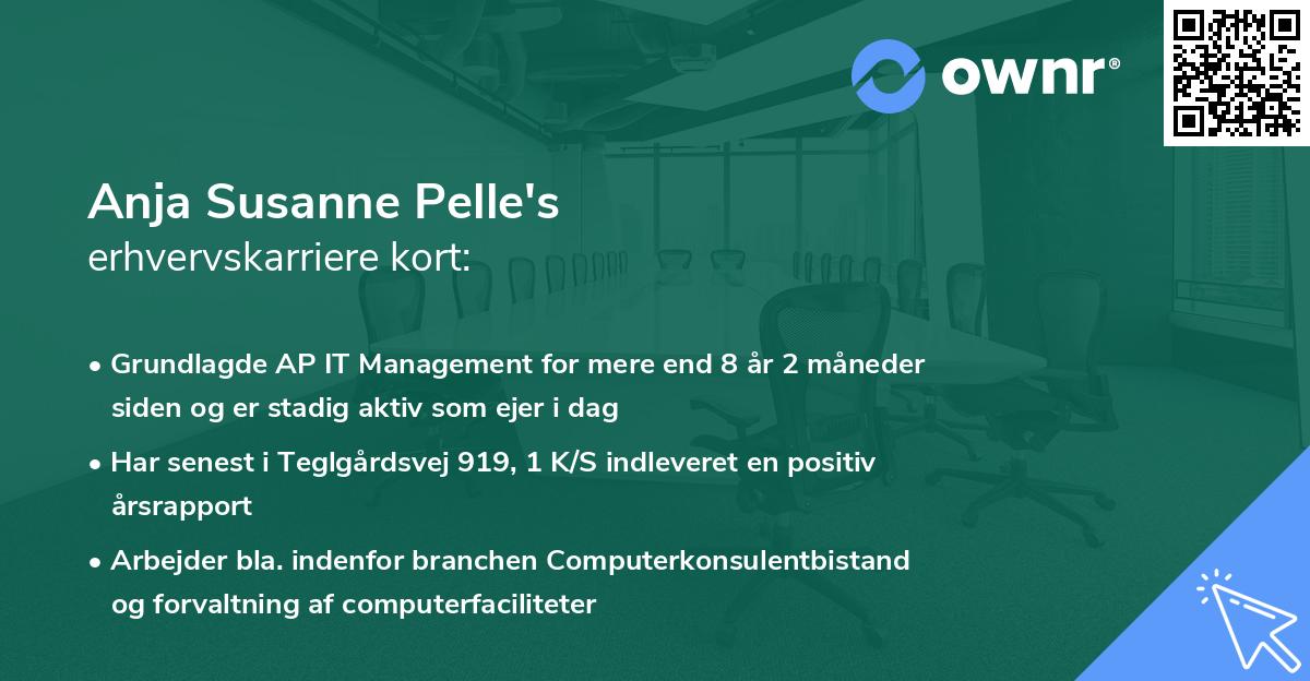 Anja Susanne Pelle's erhvervskarriere kort