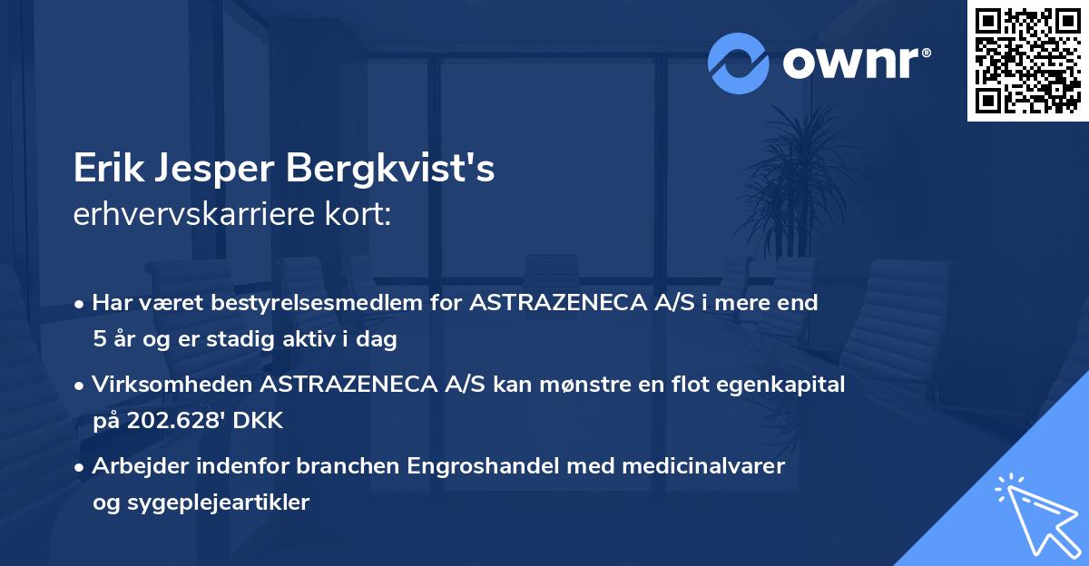 Erik Jesper Bergkvist's erhvervskarriere kort