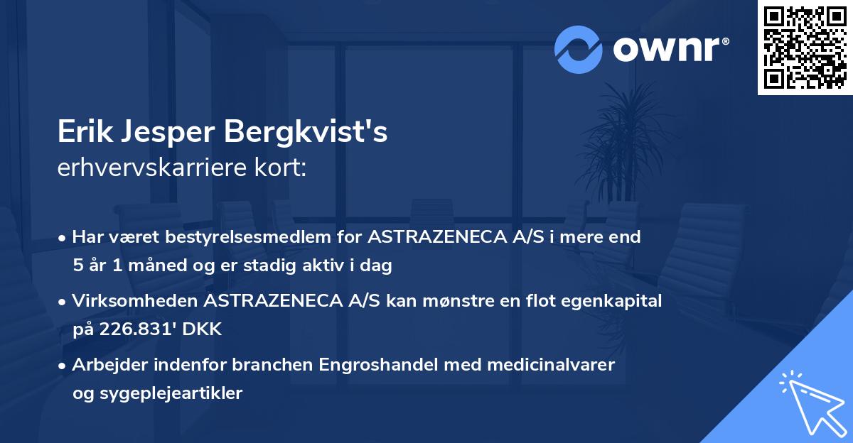 Erik Jesper Bergkvist's erhvervskarriere kort
