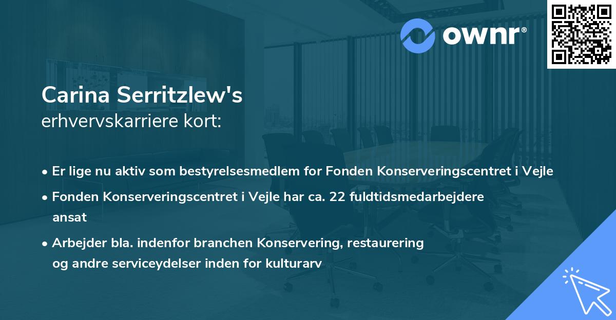 Carina Serritzlew's erhvervskarriere kort