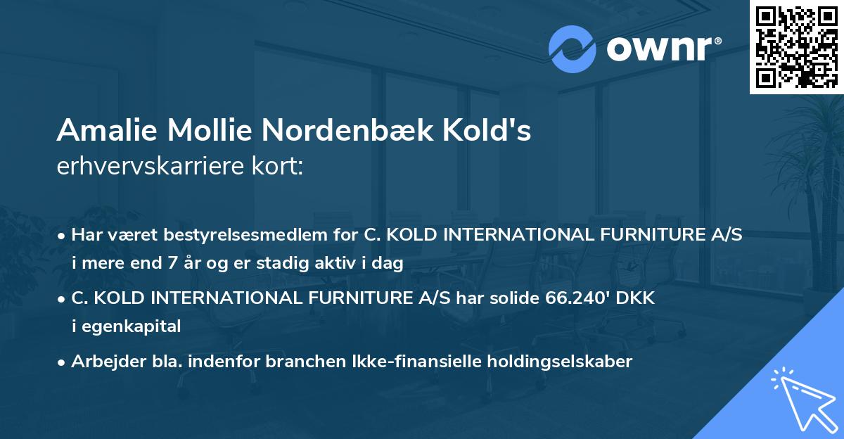 Amalie Mollie Nordenbæk Kold's erhvervskarriere kort