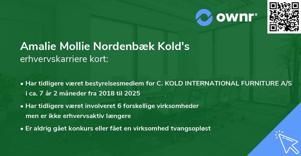 Amalie Mollie Nordenbæk Kold's erhvervskarriere kort