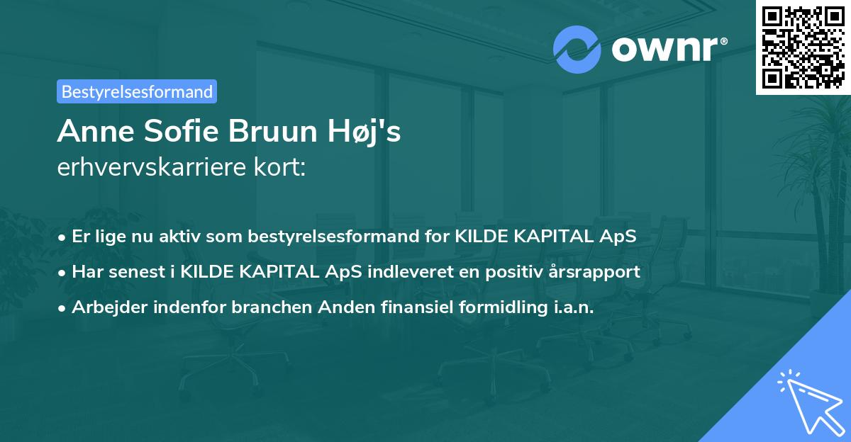 Anne Sofie Bruun Høj's erhvervskarriere kort