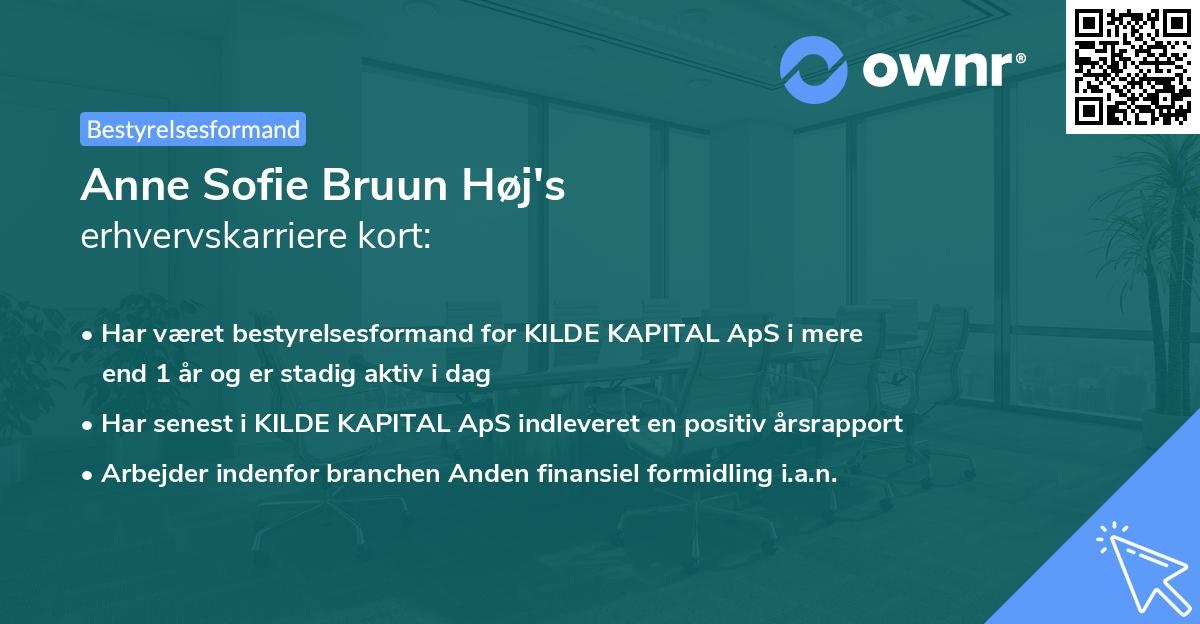 Anne Sofie Bruun Høj's erhvervskarriere kort