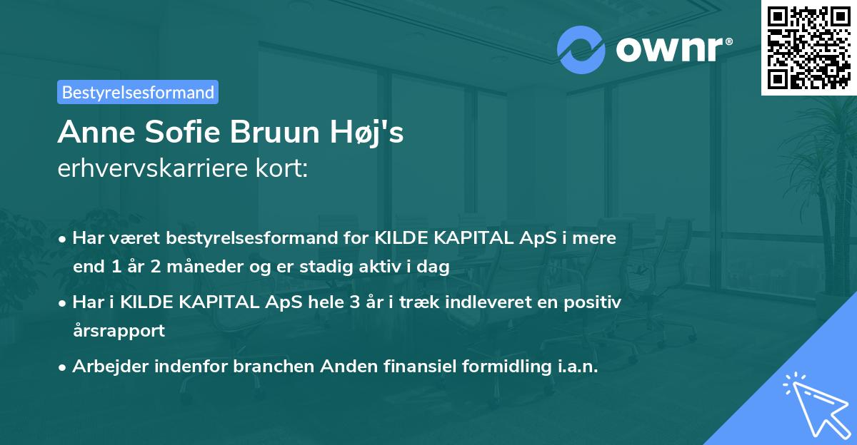 Anne Sofie Bruun Høj's erhvervskarriere kort