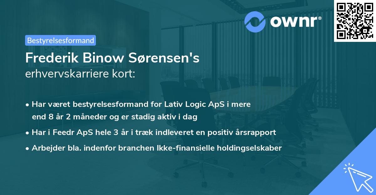 Frederik Binow Sørensen's erhvervskarriere kort