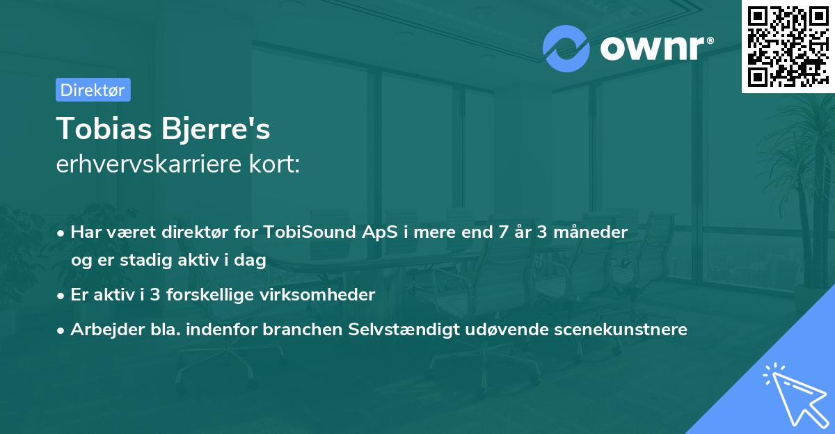 Tobias Bjerre's erhvervskarriere kort