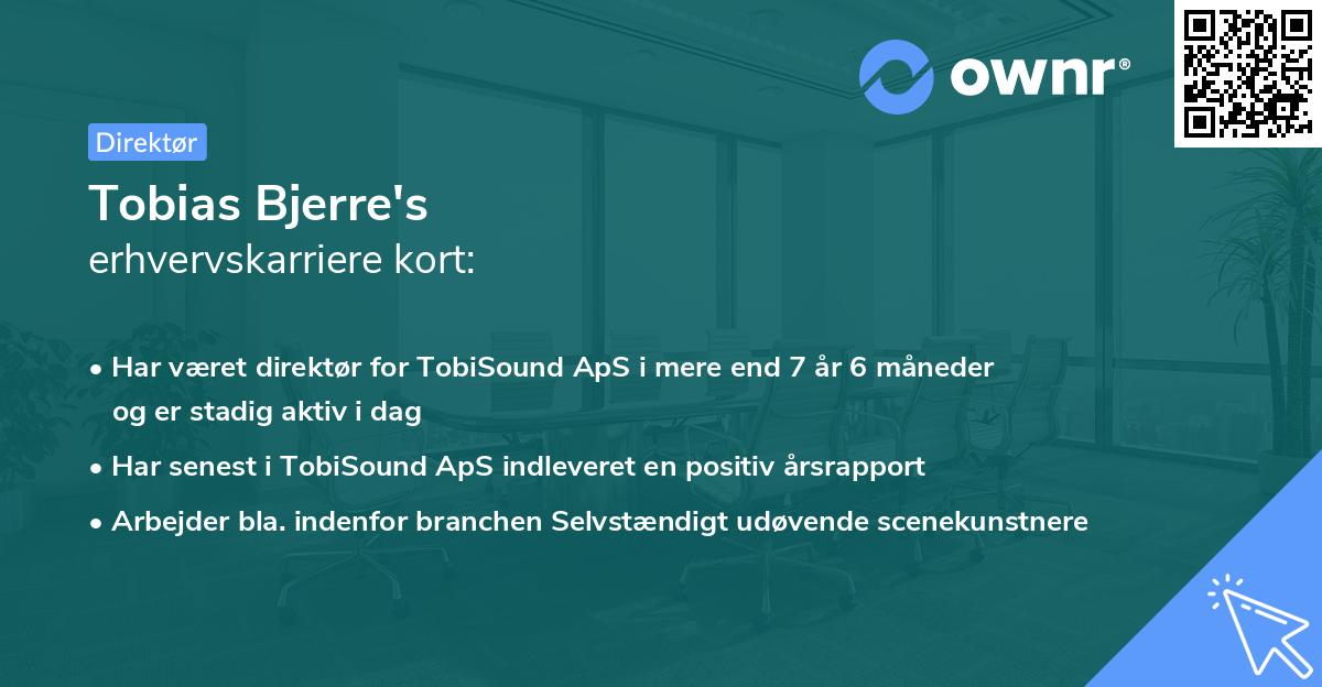 Tobias Bjerre's erhvervskarriere kort