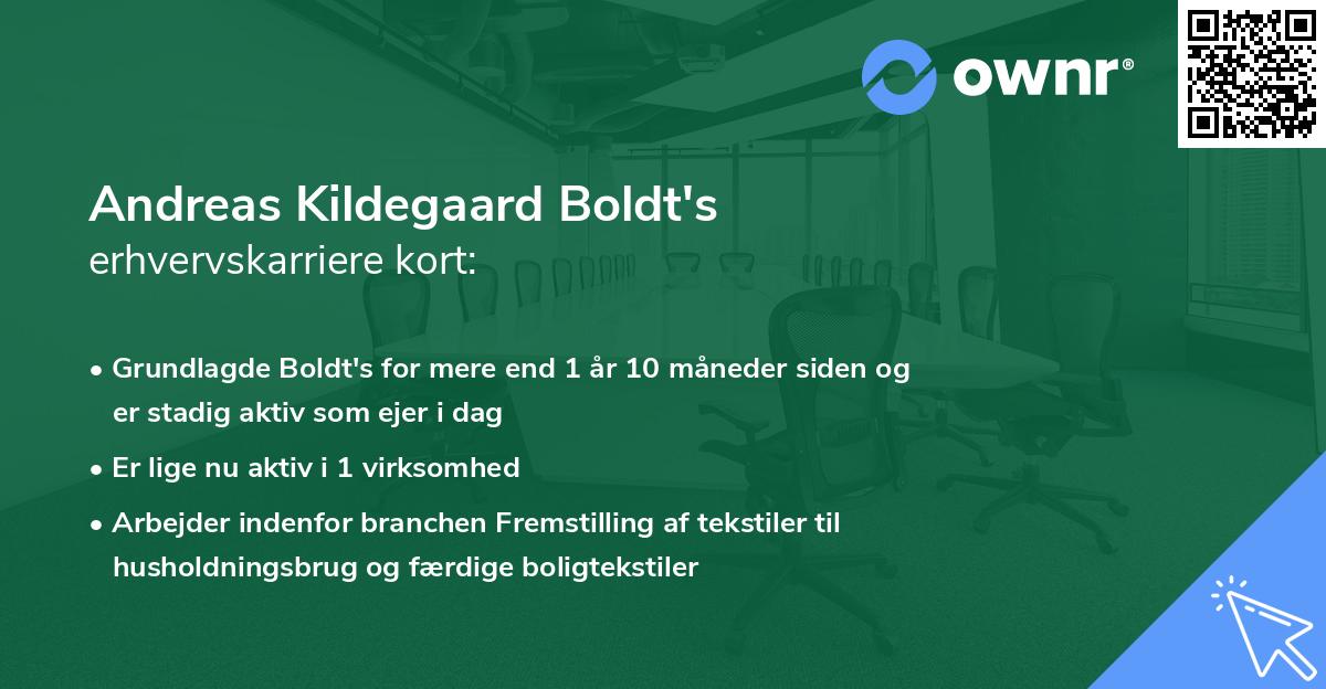 Andreas Kildegaard Boldt's erhvervskarriere kort