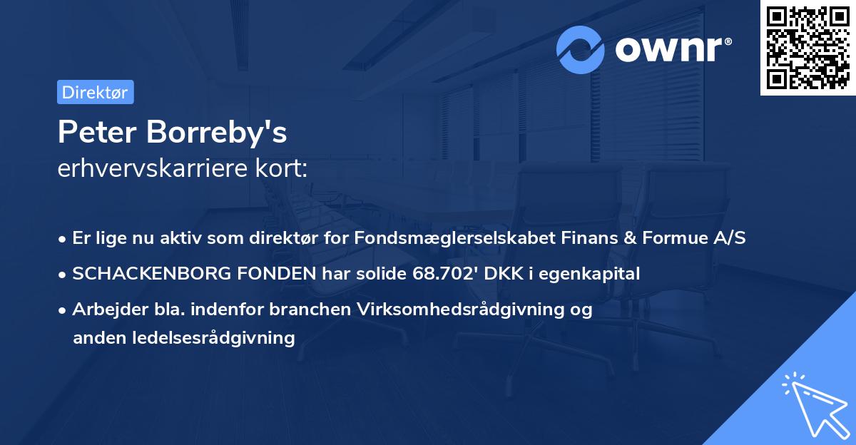 Peter Borreby's erhvervskarriere kort