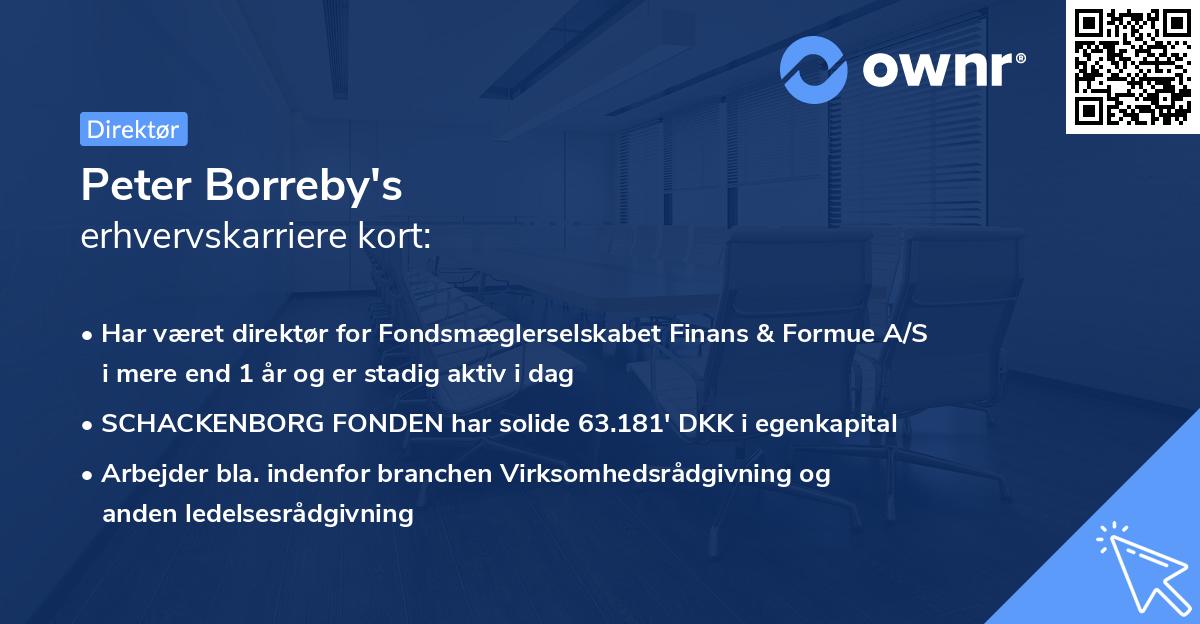 Peter Borreby's erhvervskarriere kort