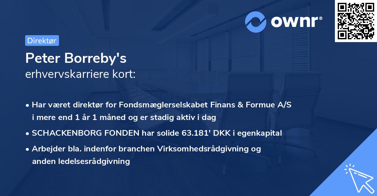 Peter Borreby's erhvervskarriere kort