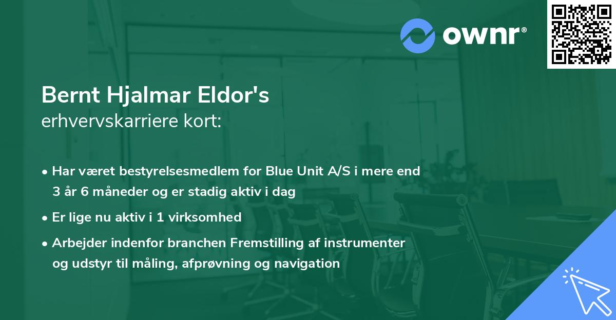 Bernt Hjalmar Eldor's erhvervskarriere kort