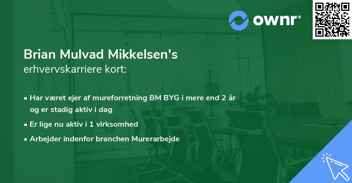 Brian Mulvad Mikkelsen's erhvervskarriere kort