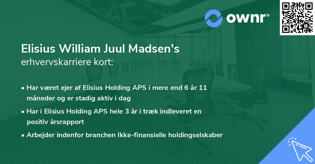 Elisius William Juul Madsen's erhvervskarriere kort