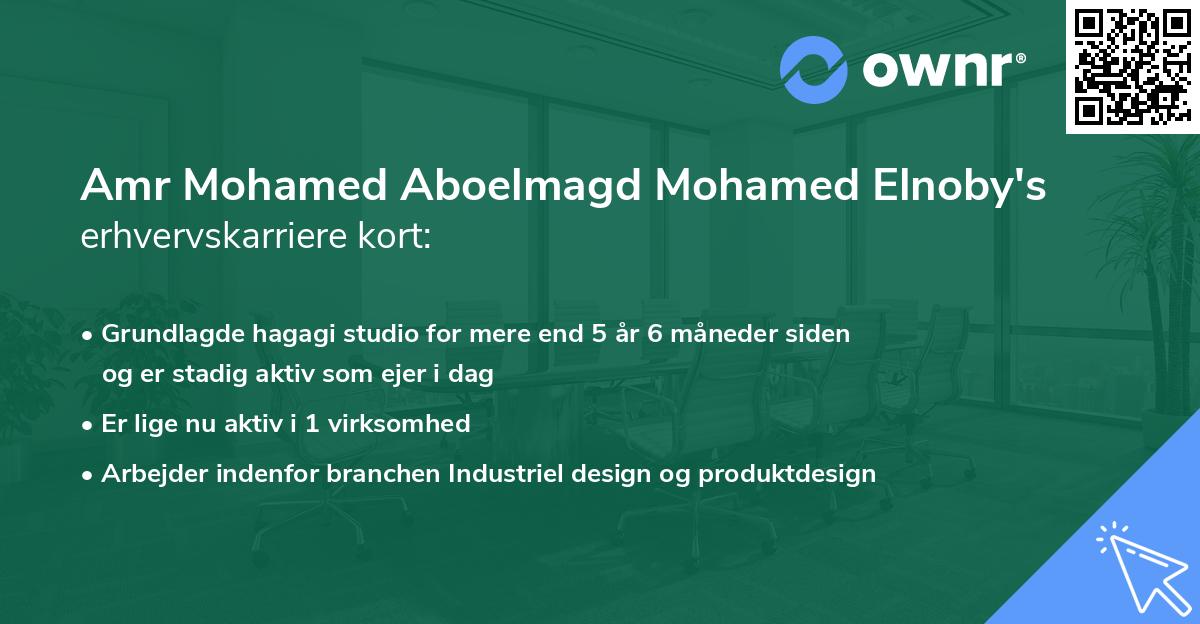 Amr Mohamed Aboelmagd Mohamed Elnoby's erhvervskarriere kort