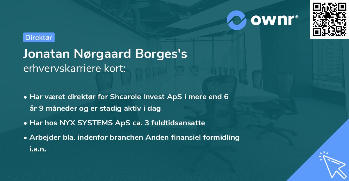 Jonatan Nørgaard Borges's erhvervskarriere kort