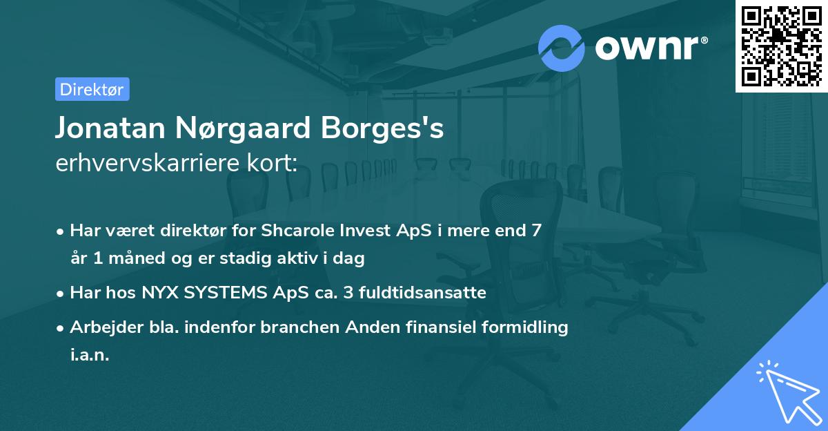 Jonatan Nørgaard Borges's erhvervskarriere kort