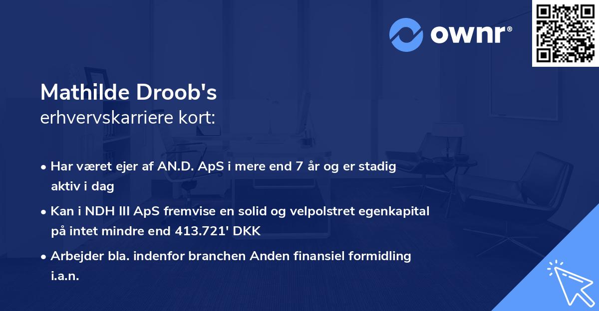 Mathilde Droob's erhvervskarriere kort