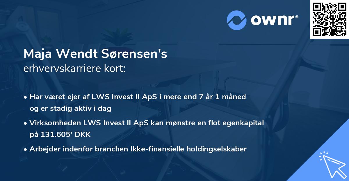 Maja Wendt Sørensen's erhvervskarriere kort