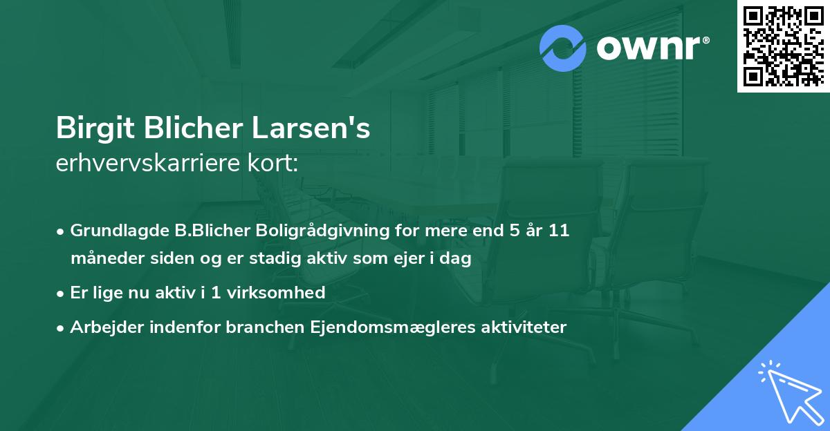 Birgit Blicher Larsen's erhvervskarriere kort