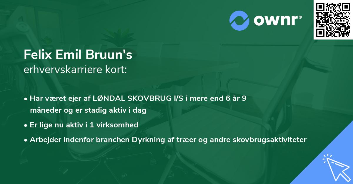 Felix Emil Bruun's erhvervskarriere kort