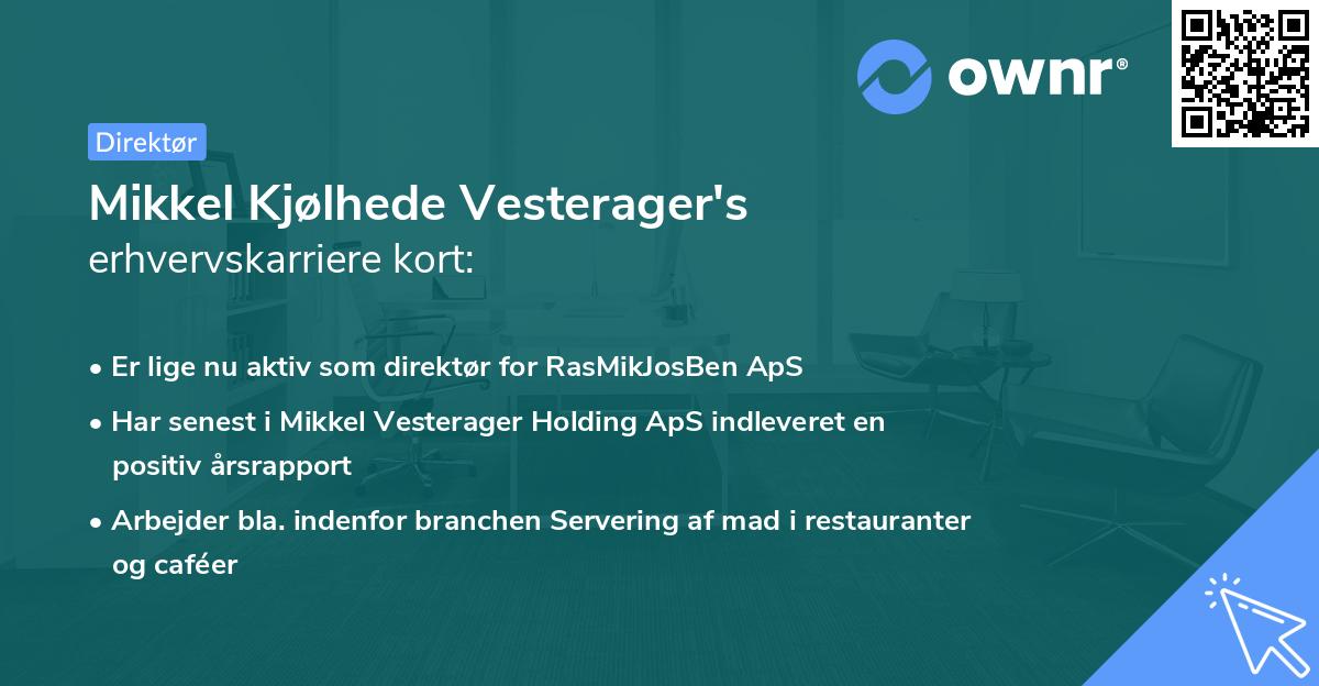 Mikkel Kjølhede Vesterager's erhvervskarriere kort