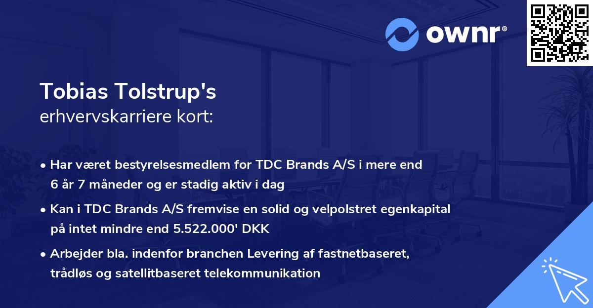 Tobias Tolstrup's erhvervskarriere kort