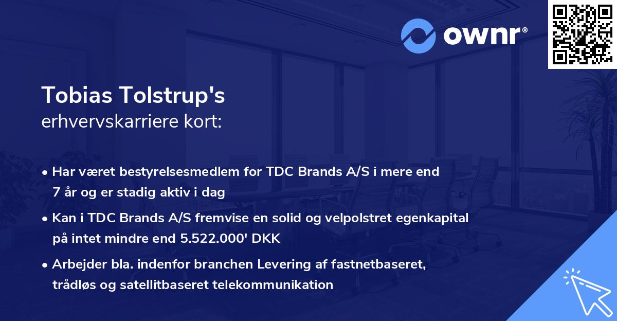 Tobias Tolstrup's erhvervskarriere kort