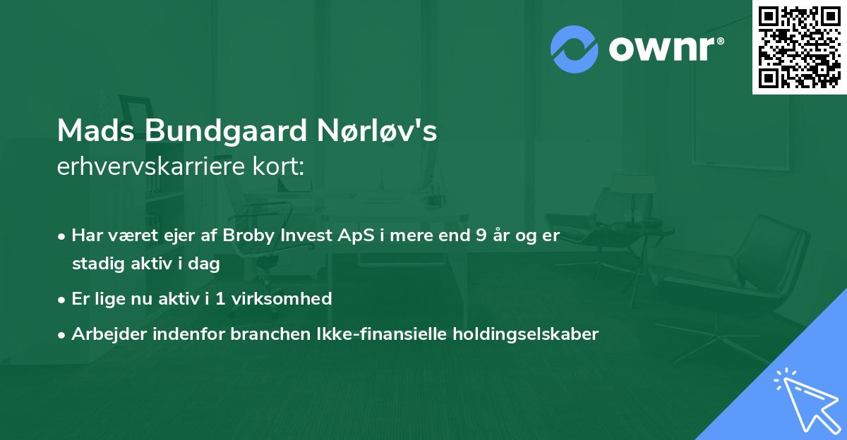 Mads Bundgaard Nørløv's erhvervskarriere kort