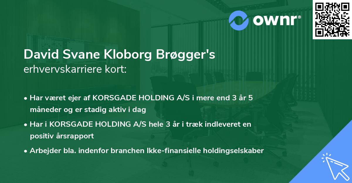 David Svane Kloborg Brøgger's erhvervskarriere kort