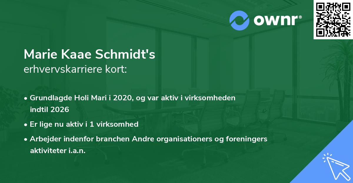 Marie Kaae Schmidt's erhvervskarriere kort