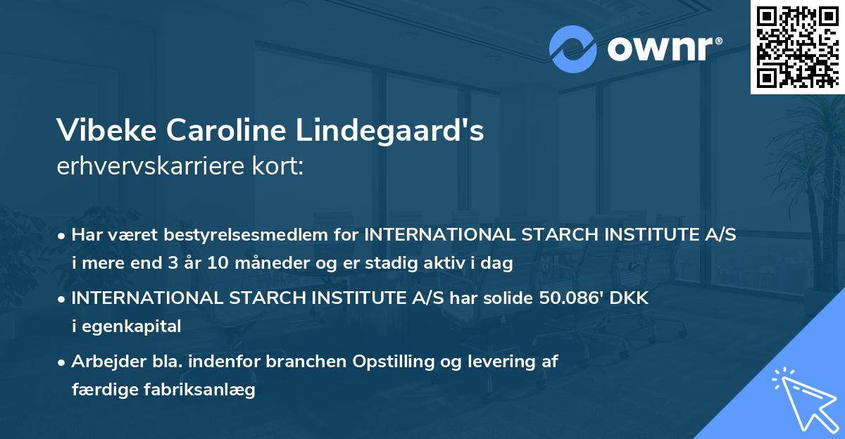Vibeke Caroline Lindegaard's erhvervskarriere kort