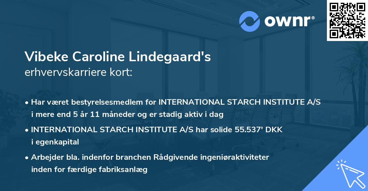 Vibeke Caroline Lindegaard's erhvervskarriere kort