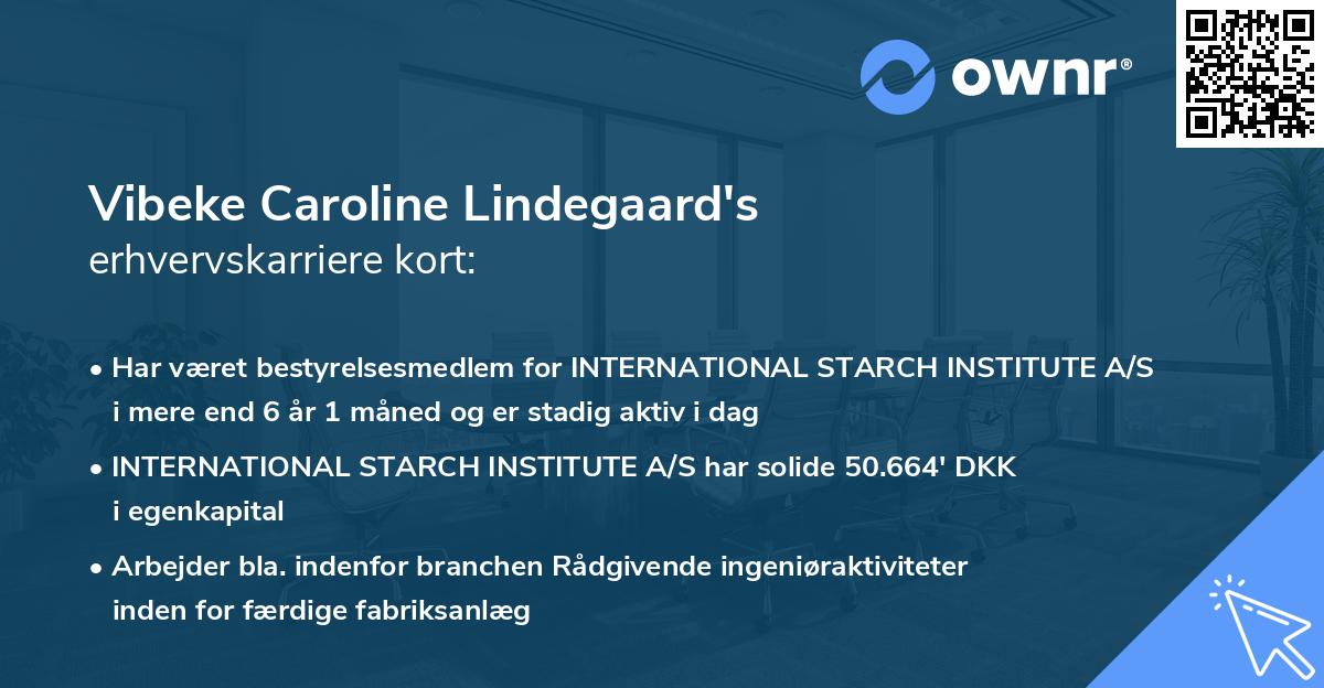 Vibeke Caroline Lindegaard's erhvervskarriere kort