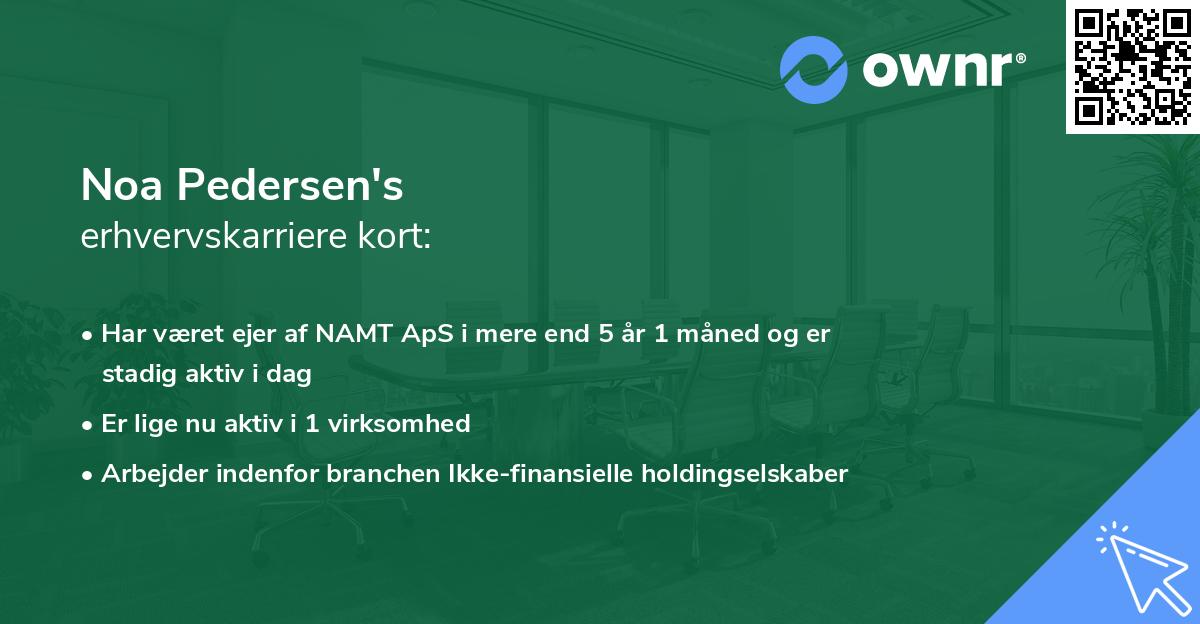 Noa Pedersen's erhvervskarriere kort