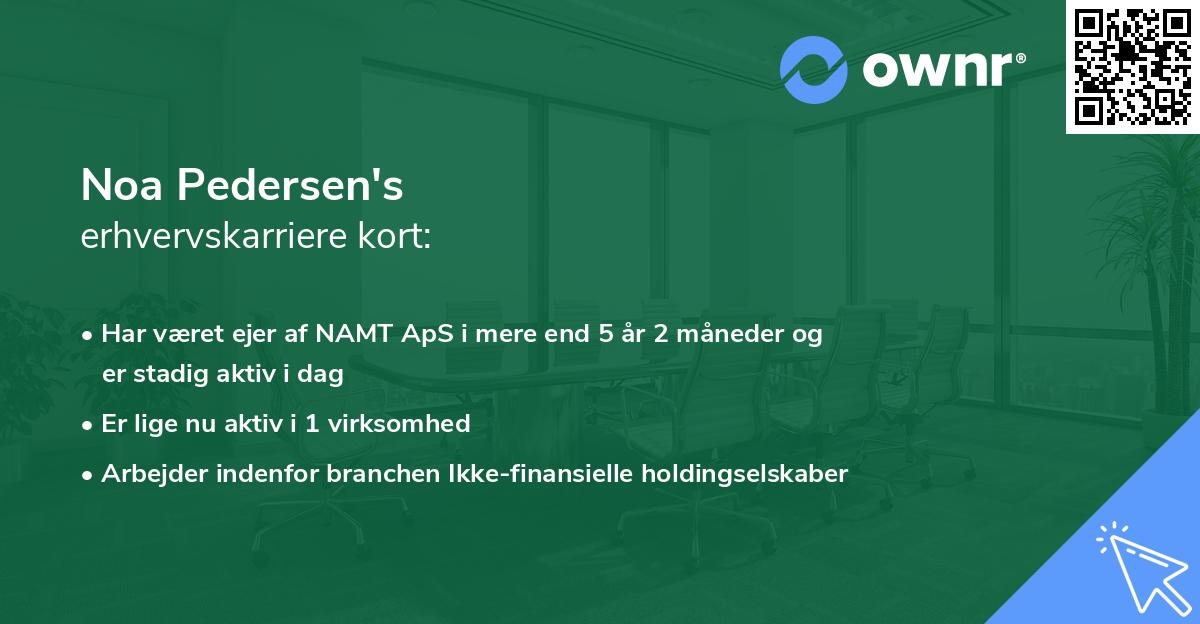 Noa Pedersen's erhvervskarriere kort