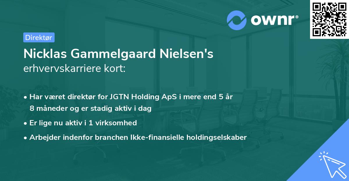 Nicklas Gammelgaard Nielsen's erhvervskarriere kort