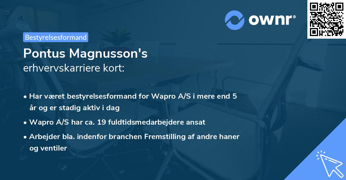 Pontus Magnusson's erhvervskarriere kort